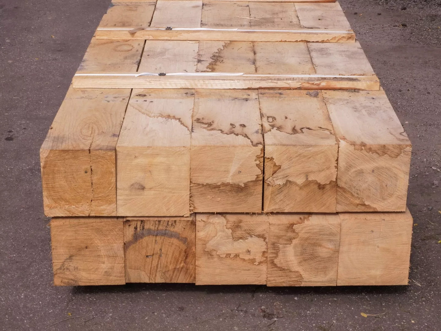 Čerstvě řezaná dubová trámovina 200x200x2400 mm